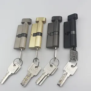 Zinc Series Europe standard mortise lock door lock cylinder with computer keys