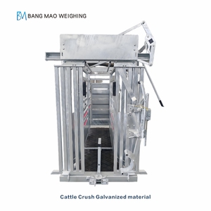 Nhà Máy bán hàng trực tiếp mới mạ điện gia súc bóp máng với gia súc có trọng lượng quy mô - Product Image 2