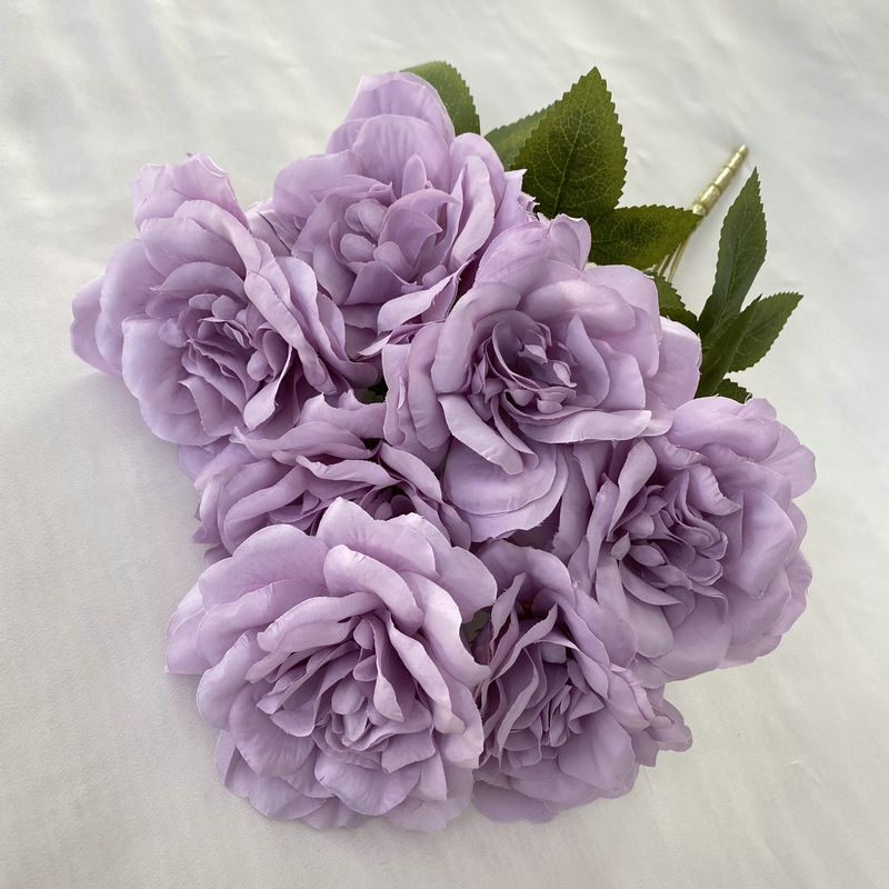 Pourpre