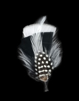 Épingle à chapeau personnalisée avec garniture en plumes véritables pour artisanat DIY, chapeau de cowboy, chapeau Fedora, costume, cosplay, accessoire de coiffure