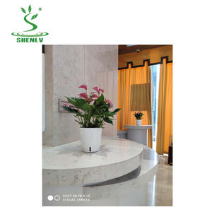 Haute Qualité Plasticas Auto Arrosage Pot Bonsaï Pot En Plastique Meilleur Sol Rond Pot De Fleurs - Product Image 2