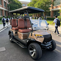 Voiturette de golf électrique multi-places, véhicule utilitaire de transport pour usage hors route, homologuée DOT CE EEC