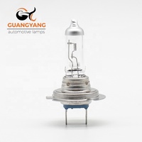 Lampe claire en verre à quartz h7 24v 100w, éclairage blanc chaud, ampoule de voiture, lumière halogène, meilleure qualité, nouveau modèle,