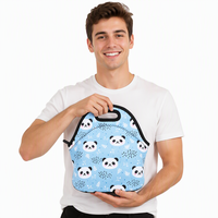 Sac à déjeuner isotherme en néoprène avec fermeture éclair, imperméable, pliable, portable, glacière à main pour pique-nique en extérieur, boîte à lunch pour étudiants