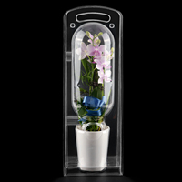 Emballage de plantes blister à clapet personnalisé contenant carré préservé rose fleur boîte d'emballage cadeau
