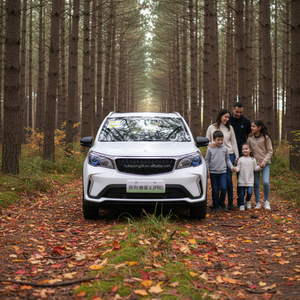 GEELY AUTO Geely GX3 Livan 1.5L PRO: Auto a Benzina Nuova, Conveniente, Resistente, Veloce, Completamente Certificata e Omologata per la Circolazione Stradale - Product Image 1