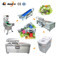 Sus 304 Saladeverwerkingsmachine, Saladesnijder, Apparatuur voor het wassen en snijden van koolsalade