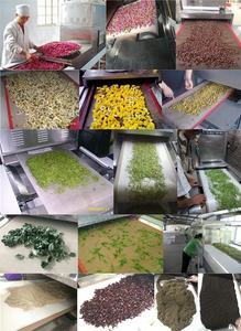 Four à micro-ondes tunnel au meilleur <span class=keywords><strong>prix</strong></span>, équipement de stérilisation et de séchage, thé, chrysalide de ver à soie et cuisson du riz - Product Image 4