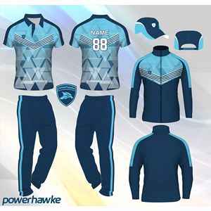 Cómodo conjunto completo de uniforme de cricket con cuello Jersey y Pantalones a un precio razonable en la India - Product Image 2