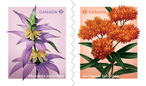 Set di Adesivi Vintage con Francobolli Canadesi, Cultura Canadese, Fiori per Diari di Viaggio - Product Image 4