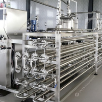 Solution clé en main pour machine à jus de raisin/vin Machine à égrappage de raisin Usine de production