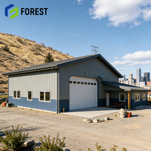 Edificio de Estructura de Acero Pesado Prediseñado para Talleres, Fábricas, Almacenes, Apartamentos, Hospitales, Diseño Personalizado e Instalación - Product Image 1