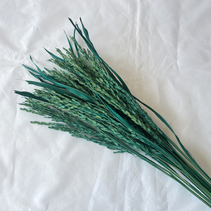 <span class=keywords><strong>ข้าว</strong></span>แหลมสำหรับประดับตกแต่ง<span class=keywords><strong>บ้าน</strong></span>,ดอกตะปูสำหรับตกแต่งร้านกาแฟดอกไม้งานแต่งงานต้นไม้ธรรมชาติสีสันสดใส - Product Image 6