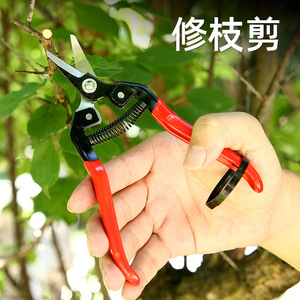 Short Straight-Tipped Fruit Picking Pruning Shears Stainless Steel Red 10-20 Mm Bypass Pruner For Garden - Product Image 1