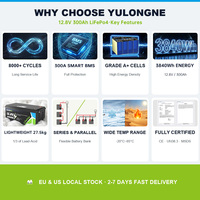 Batterie LiFePO4 à semi-conducteurs YULONGNE 12V 300Ah 3600Wh avec BMS intelligent intégré, 8000+ cycles, pour système solaire domestique hors réseau