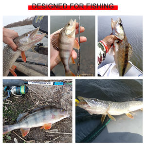 ชุดเหยื่อ LFC01แบบผสมเหยื่อตก<span class=keywords><strong>ปลา</strong></span>ปลอมขนาด43มม. 6ก. เหยื่อแบบแข็งอุปกรณ์ตก<span class=keywords><strong>ปลา</strong></span>ปลอมตัวอย่างฟรีเหยื่อข้อเหวี่ยงขนาดเล็ก6ก. - Product Image 2