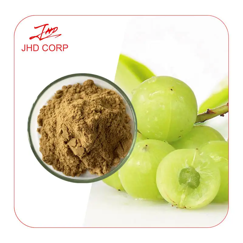 JHD Wholesale Emblica Officinalis Extract Phyllanthus Emblica Extract Amla Fruit Powder Extract