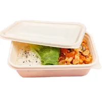 पर्यावरण के अनुकूल Lids के साथ खाद्य कंटेनर Recyclable 500ML पोर्टेबल Takeout दोपहर के भोजन के ट्रे