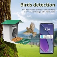 Vente flash - Mangeoire à oiseaux intelligente avec caméra de surveillance à distance - Mangeoires à oiseaux pour l'extérieur avec vision nocturne et fonction d'alarme
