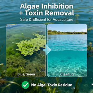 CY Aquatic Safe: Desintoxicante de toxinas almidónicas, eliminación de algas, desinfección de doble función y aditivos para alimento acuático - Product Image 6