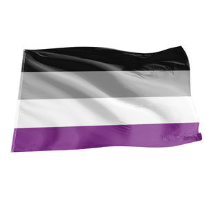 ธง LGBT ขนาด 3x5 ฟุต ขายส่ง ราคาถูก ธงแขวนในร่มและกลางแจ้ง สำหรับเลสเบี้ยนและคนข้ามเพศ - Product Image 4