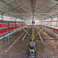 Poulailler mobile en acier robuste de 15x5m et 2,8m de haut pour l'élevage de poulets de chair et de poules pondeuses - Équipement agricole