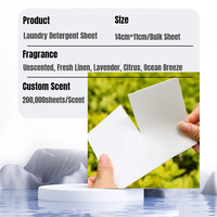 Feuilles de lessive solides écologiques à mousse moyenne, 50%-80% d'ingrédients actifs, parfum lavande et linge frais, personnalisables