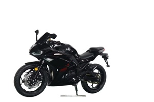 Motocicleta Apex Ride R3-250CC con Tanque de Combustible Práctico de 18L e Instrumento LCD Mecánico, Velocidad Máxima de >80 km/h para Viajes de Corta Distancia - Product Image 5