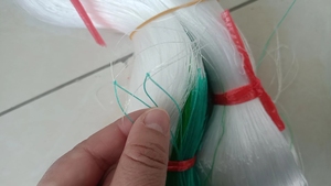 Nhà máy LEO <span class=keywords><strong>Net</strong></span> cho nông nghiệp cà rốt dưa chuột Trung Quốc Yam niềm đam mê trái cây - Product Image 6