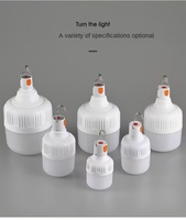 Ampoule LED rechargeable avec USB et batterie, à suspendre avec crochet pour le camping en extérieur et l'éclairage d'urgence à domicile
