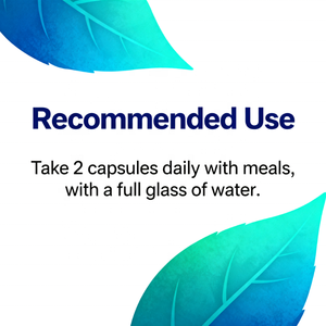 Ovita oem halal glucosamine chondroitin קפסולות ויטמין MSM גלוקוזאמין עבור סחוס ותמיכה בריאות משותפת - Product Image 4