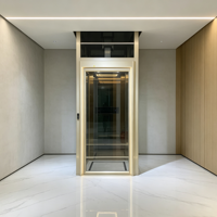 Ascenseur hydraulique moderne pour immeubles duplex, à structure compacte et finition haut de gamme, pour l'intérieur