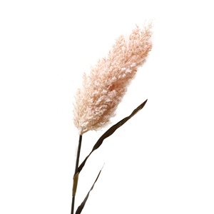 Xiangnan Offre Spéciale fleurs séchées <span class=keywords><strong>de</strong></span> luxe Fleur Artificielle fleurs <span class=keywords><strong>de</strong></span> mariage maison décoration <span class=keywords><strong>de</strong></span> mariage - Product Image 2