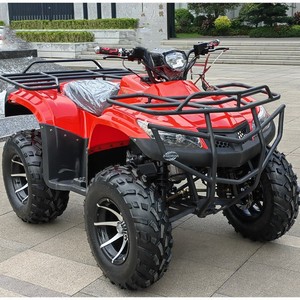 ZHUOXUAN Adult <b>Ride</b>-<b>on</b> Mini <b>Jeep</b> 4x4 Gas/LPG off Road Utility Cart Buggy for Beach and Mountain - Product Image 4
