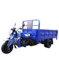 Novo Estilo de 250cc Triciclo de Passageiros E A Gasolina de Combustível Da Motocicleta de Três Rodas Triciclo de Carga Da Motocicleta