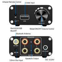   Amplificateur audio numérique Hi-Fi 5.3, classe D 2.0 stéréo, bureau/cinéma maison