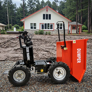 Mini carretilla eléctrica de 500kg con batería, Mini volquete eléctrico, carretilla de rueda eléctrica de 500kg - Product Image 2