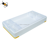 Nuevo 6-Frame Beehive Queen Nuc Bee Box para Apicultura