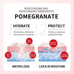 Crème Contour des Yeux Hydratante et Revitalisante à la Grenade SADOER (Marque Coréenne) – Nouveauté Promotionnelle pour Tous Types de Peaux, Améliore la Sécheresse - Product Image 2