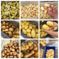 Máquina Eléctrica para Lavar y Pelar Piel de Yuca y Patata, Cepilladora y Peladora para Limpiar Jengibre y Batata