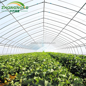 Serres agricoles à tunnel en film PE à simple travée PLOY HOUSE à faible coût <span class=keywords><strong>pour</strong></span> légumes, ensemble complet avec structure de <span class=keywords><strong>serre</strong></span> de culture - Product Image 1