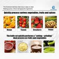 Machine industrielle électrique pour la fabrication de purée de fruits, de tomates et de patates douces, en acier inoxydable 304