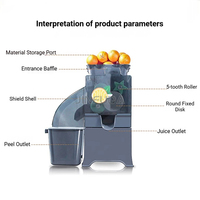 Elektrische Calamansi-sapcentrifuge, citroen- en sinaasappelsapcentrifuge, verse sapcentrifuge
