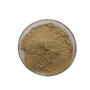 ผงสกัดเม็ดมะม่วงหิมพานต์ ผงเปลือกมะม่วงหิมพานต์ ผงมะม่วงหิมพานต์ - Product Image 4