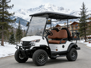 Voiturette de golf compacte 4 places électrique pour parcours de golf et trajets hôteliers, conduite fluide, offre en gros pour routes non publiques - Product Image 1