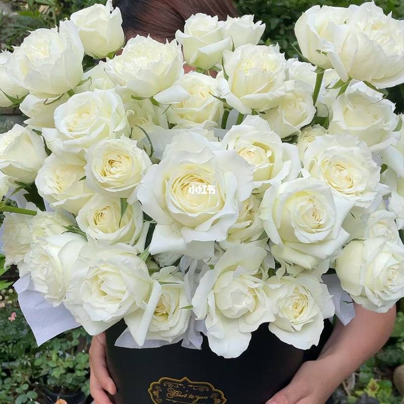 20 selected white roses of c-d grade