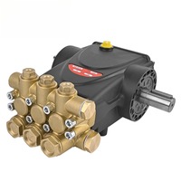 Pompe haute pression à trois pistons en cuivre noire/dorée compatible INTERPUMP E2 EVOLUTION