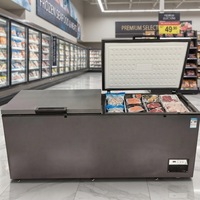Congélateur horizontal commercial à double porte pour supermarché