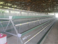 Cage à poules pondeuses en couches de type A pour l'Afrique, cage à poulets pondeuses, cage à poulets de chair, cage à poulets tunnel