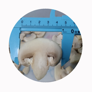 Toàn Bộ <span class=keywords><strong>iqf</strong></span> đông lạnh Trắng champignon nấm lát cắt khối cắt số lượng lớn Hữu Cơ đóng băng đóng băng lành mạnh dinh dưỡng bán buôn - Product Image 4